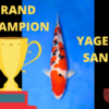 Yagenji Sanke Grand Champion